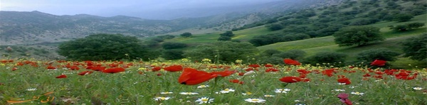 طبیعت ایلام