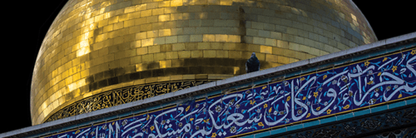 تصویر سربرگ نمایه‌ی ‌9**9869‌