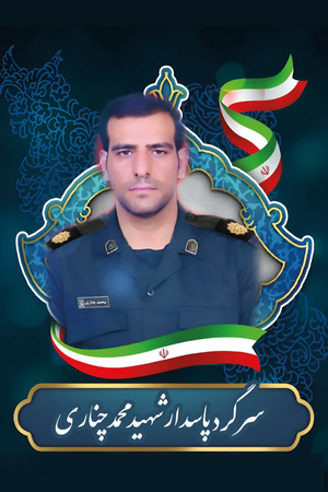 امنیت آسمان تهران را مدیون این ۴۲ نفر بودیم