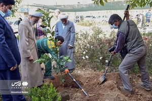 کاشت ۳ اصله نهال  به یاد سه امام جمعه فقید شیراز