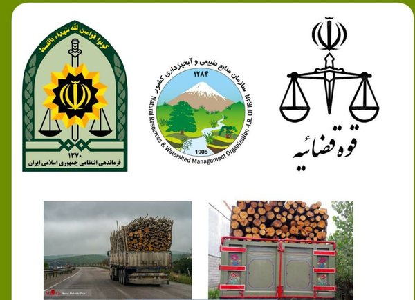 قاچاق چوب- تبریز