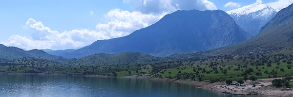 تصویر سربرگ نمایه‌ی ‌دانشجوی افسرده‌