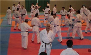اردوی تیم ملی کاراته