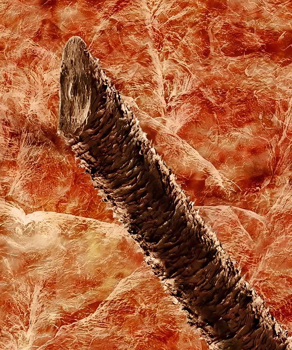 نمونه جزئی نقاشی ۷۵ گیگاپیکسلی پیرمردی برای خدا