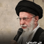 تصویر نمایه‌ی ‌محمد البرزی‌