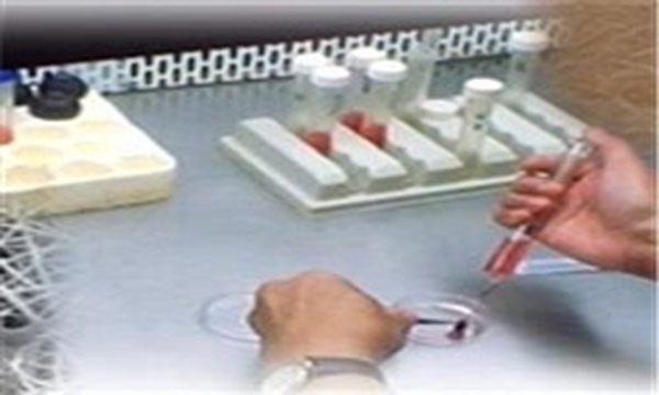 آزمایشگاه