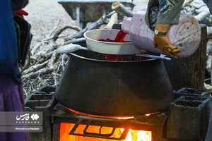 تهیه رُب انار 