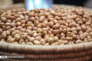 بازار به رنگ یلدا