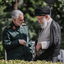 تصویر نمایه‌ی ‌ستایش نوراللهی مغانلو‌