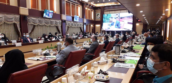 مجمع دانشگاهی