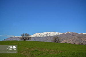 طبیعت «کول میشان»