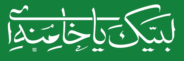 تصویر سربرگ نمایه‌ی ‌سید حمید‌