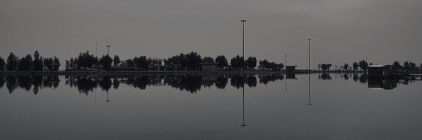 تصویر سربرگ نمایه‌ی ‌9**4739‌