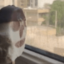 تصویر نمایه‌ی ‌جنگ زده بدبخت‌