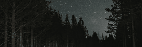 تصویر سربرگ نمایه‌ی ‌AAEM²‌