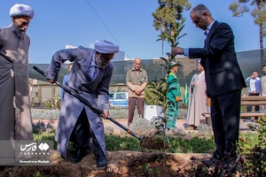 کاشت ۳ اصله نهال  به یاد سه امام جمعه فقید شیراز