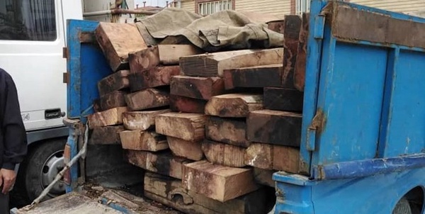 قاچاق چوب کردکوی