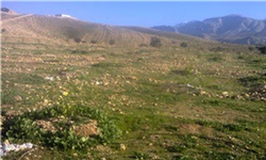 کشاورزی2