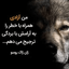 ‌فاطمه‌ صورة الملف الشخصي