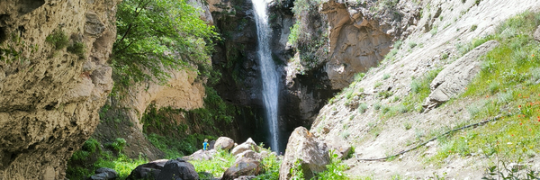 تصویر سربرگ نمایه‌ی ‌حسین سعیدی‌