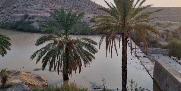 آبخیزداری