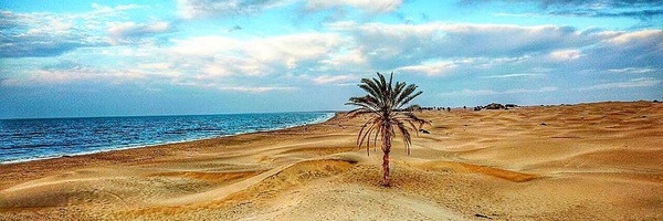 تصویر سربرگ نمایه‌ی ‌حمید نوفرستی‌