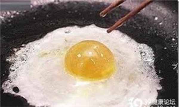 زرده تخم مرغ