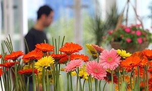 نمایشگاه بین المللی گل و گیاه تهران