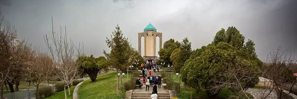 تصویر سربرگ نمایه‌ی ‌حامد صیفی‌