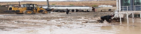سیل 