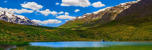 تصویر سربرگ نمایه‌ی ‌زهرا شفیعی‌