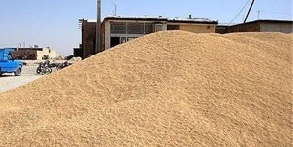 نهاده دامی