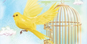 جشن گلریزان