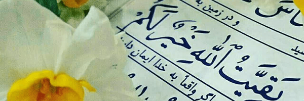 تصویر سربرگ نمایه‌ی ‌بتول مهبادی‌