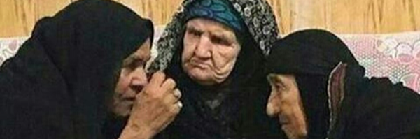 تصویر سربرگ نمایه‌ی ‌محمدحسین وطنی‌