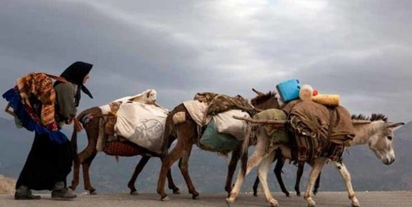کوچ عشایر