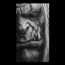 تصویر نمایه‌ی ‌سیدستار امینی‌