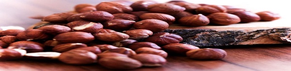 فندوق