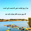 تصویر نمایه‌ی ‌علی شکیبا‌