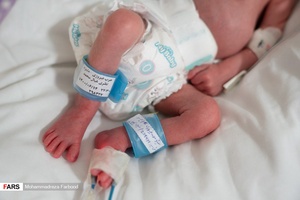 قل پنجم (  قل E  ) / بخش مراقبت های ویژه نوزادان ( NICU 4 ) بیمارستان حضرت زینب(س) شیراز