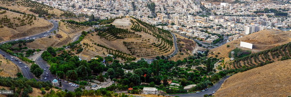 تصویر سربرگ نمایه‌ی ‌توفیق مفاخری‌