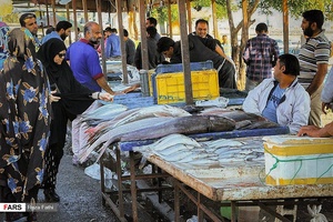 بازار «ماهی‌فروشان» بندرعباس