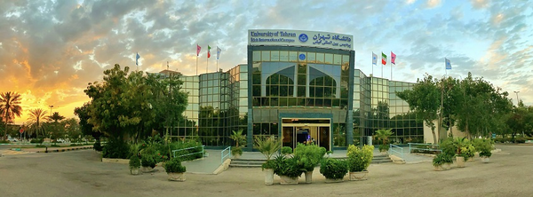 ببببببب