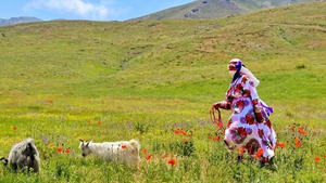 این بیمه ۳.۵ میلیون نفر عضو دارد