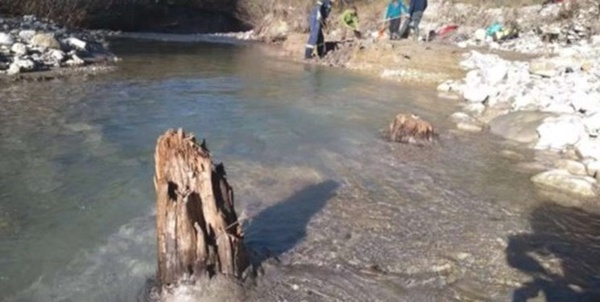 درخت