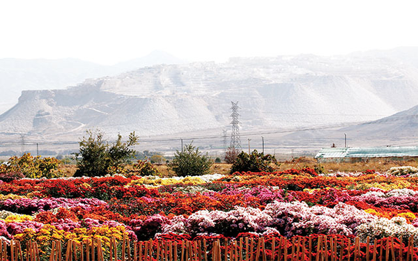 گردشگری کشاورزی 