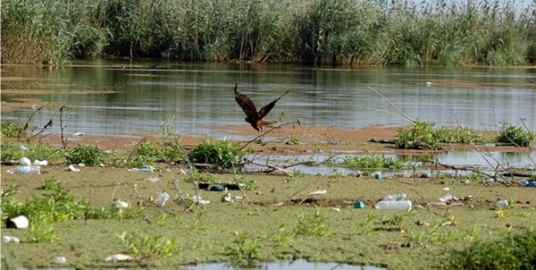 تالاب انزلی 