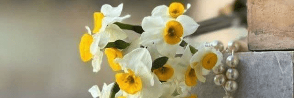 تصویر سربرگ نمایه‌ی ‌Narges‌