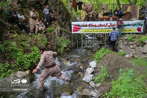 چهارمین جشنواره توت‌فرنگی شیان