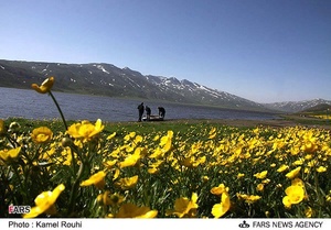 گردشگران در سواحل دریاچه نئور 